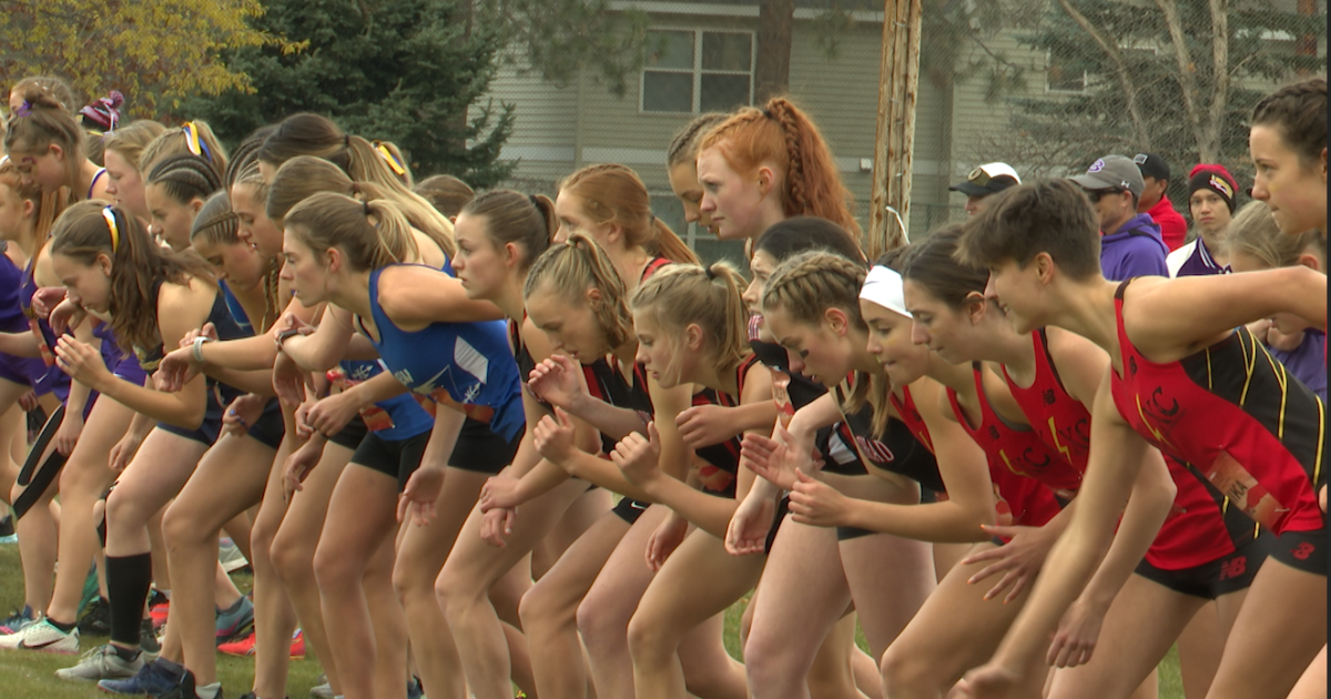Results and highlights: 2021 State Cross Country Results and highlights: 2021 State Cross Country